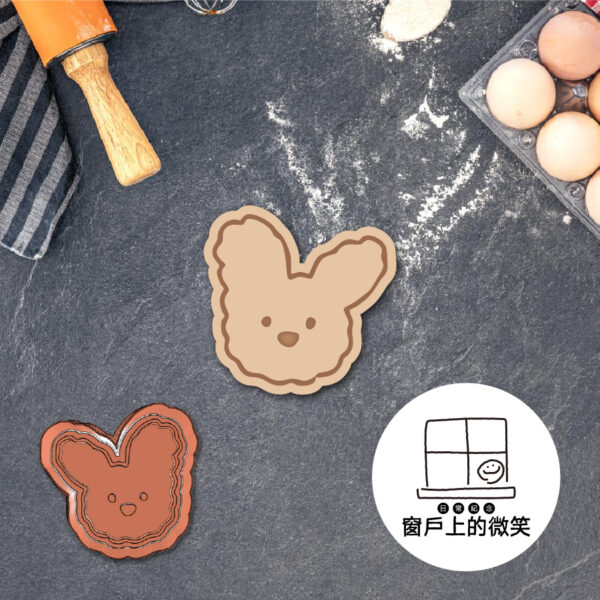 動物系列🐶A系列全款