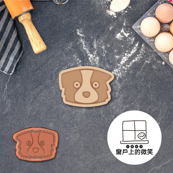 動物系列🐶A系列全款