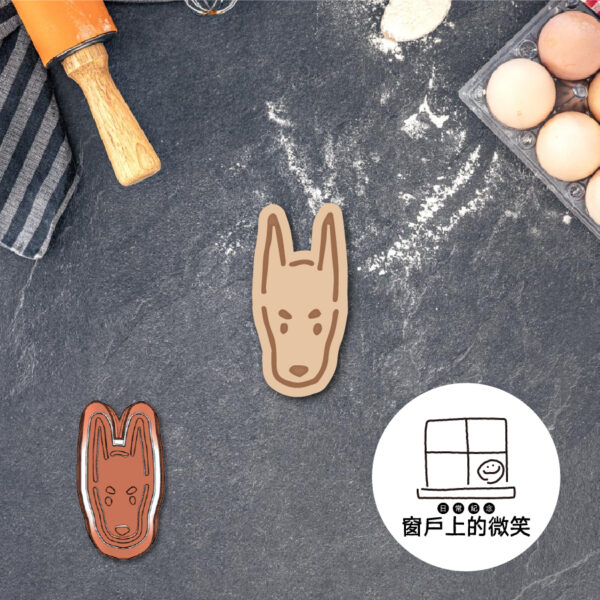 動物系列🐶A系列全款