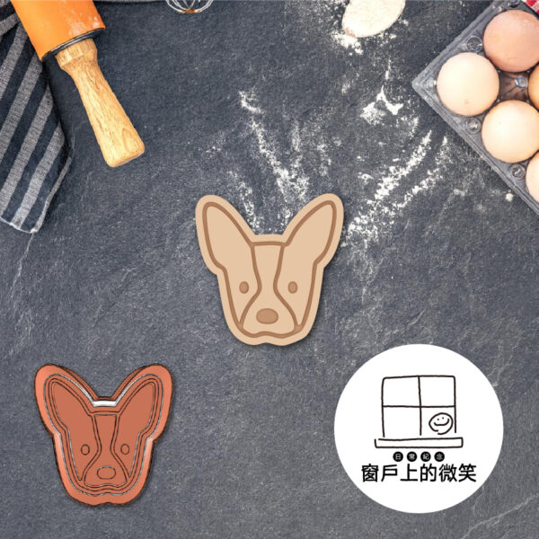 動物系列🐶B系列全款