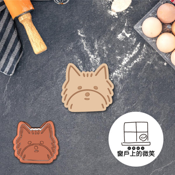 動物系列🐶B系列全款